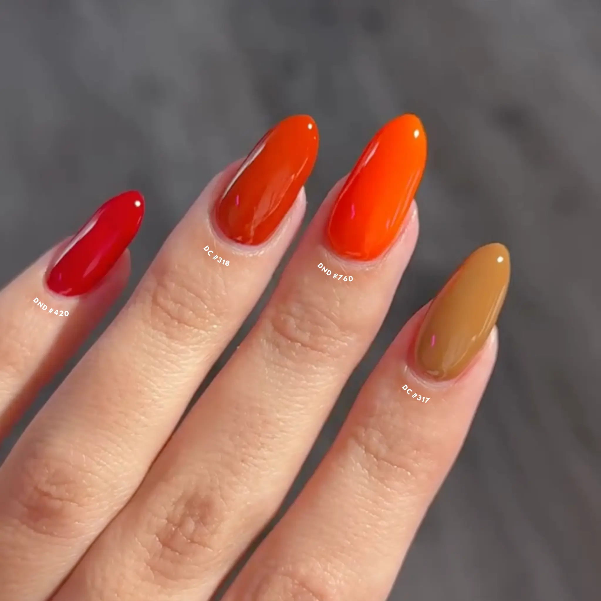 Russet Orange #760 - Image 3