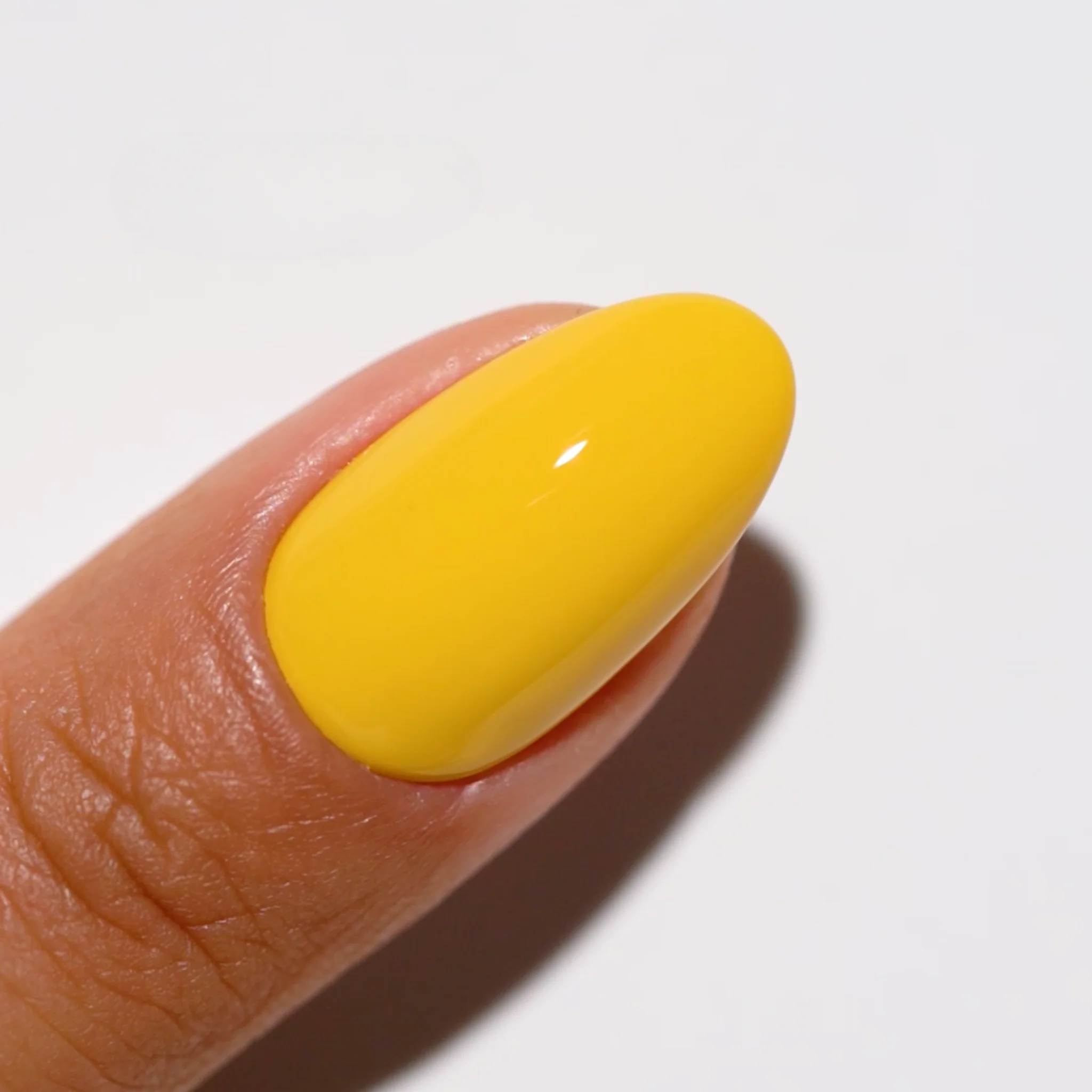 Buttered Corn #746 - Image 3