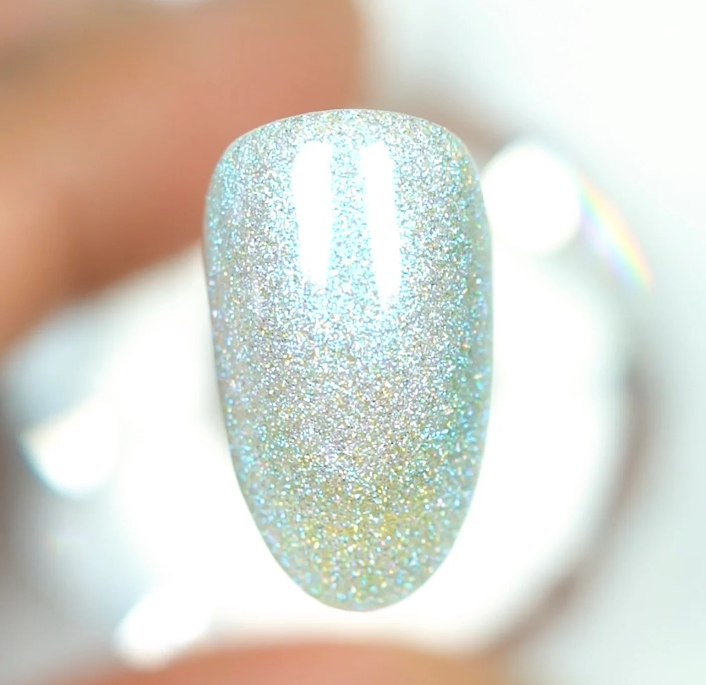 DC Mermaid - #240 Sea Shell - Image 4