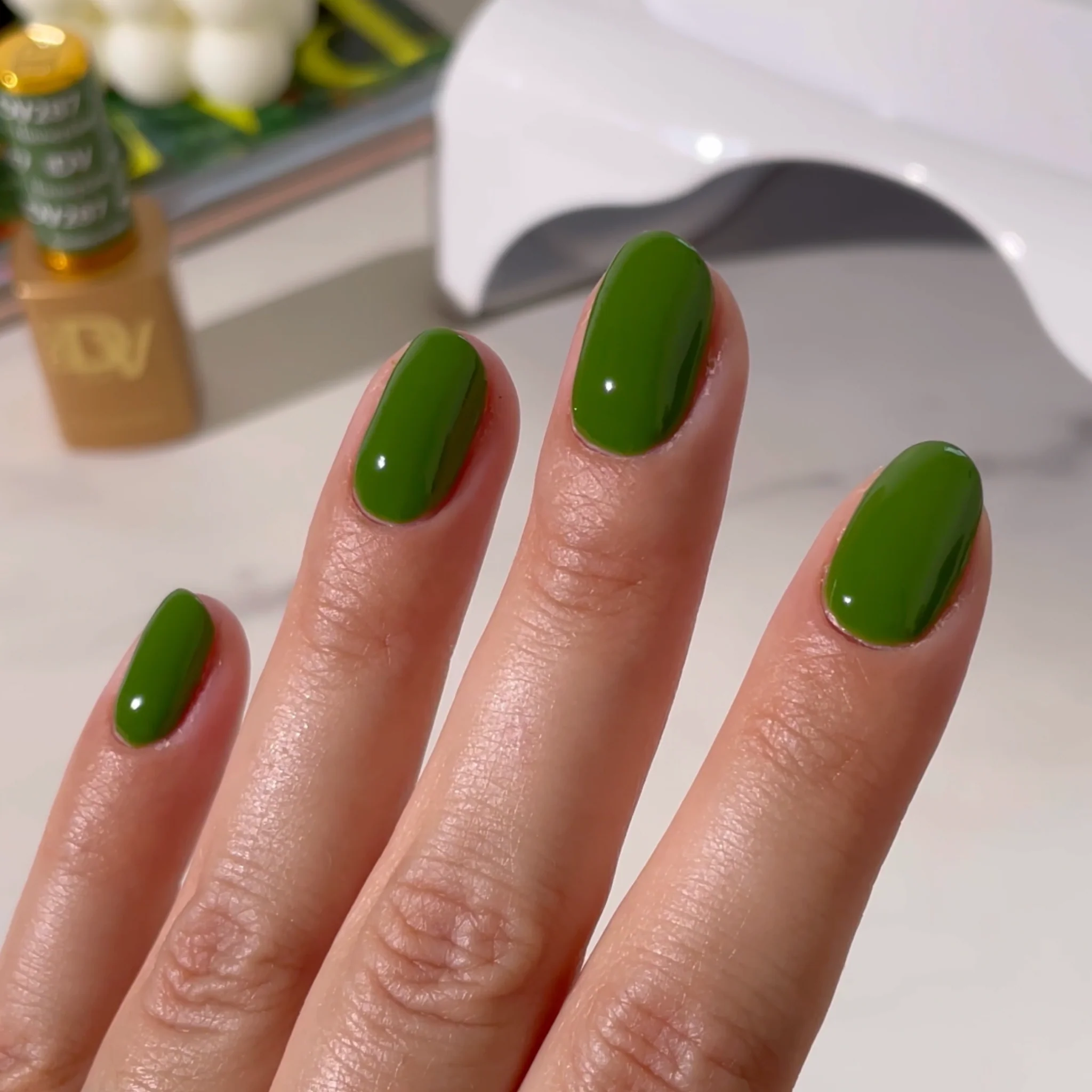 Houseplant DIVA #287 - Image 2