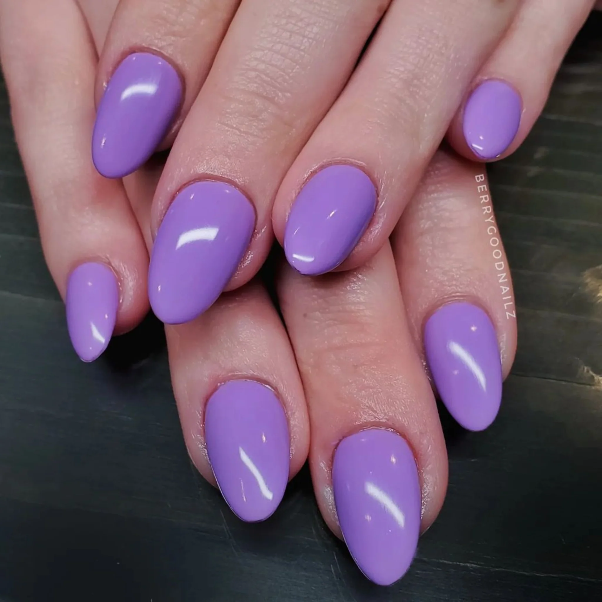 Lavender Blue #573 - Image 2