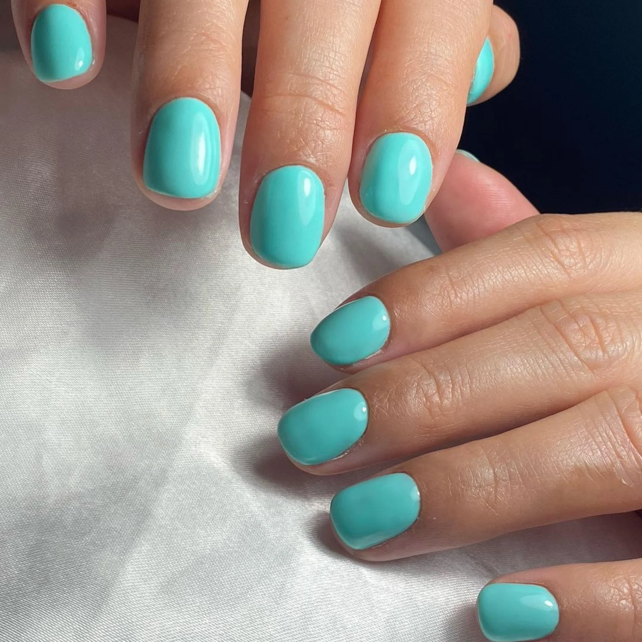 Nile Green #033 - Image 3