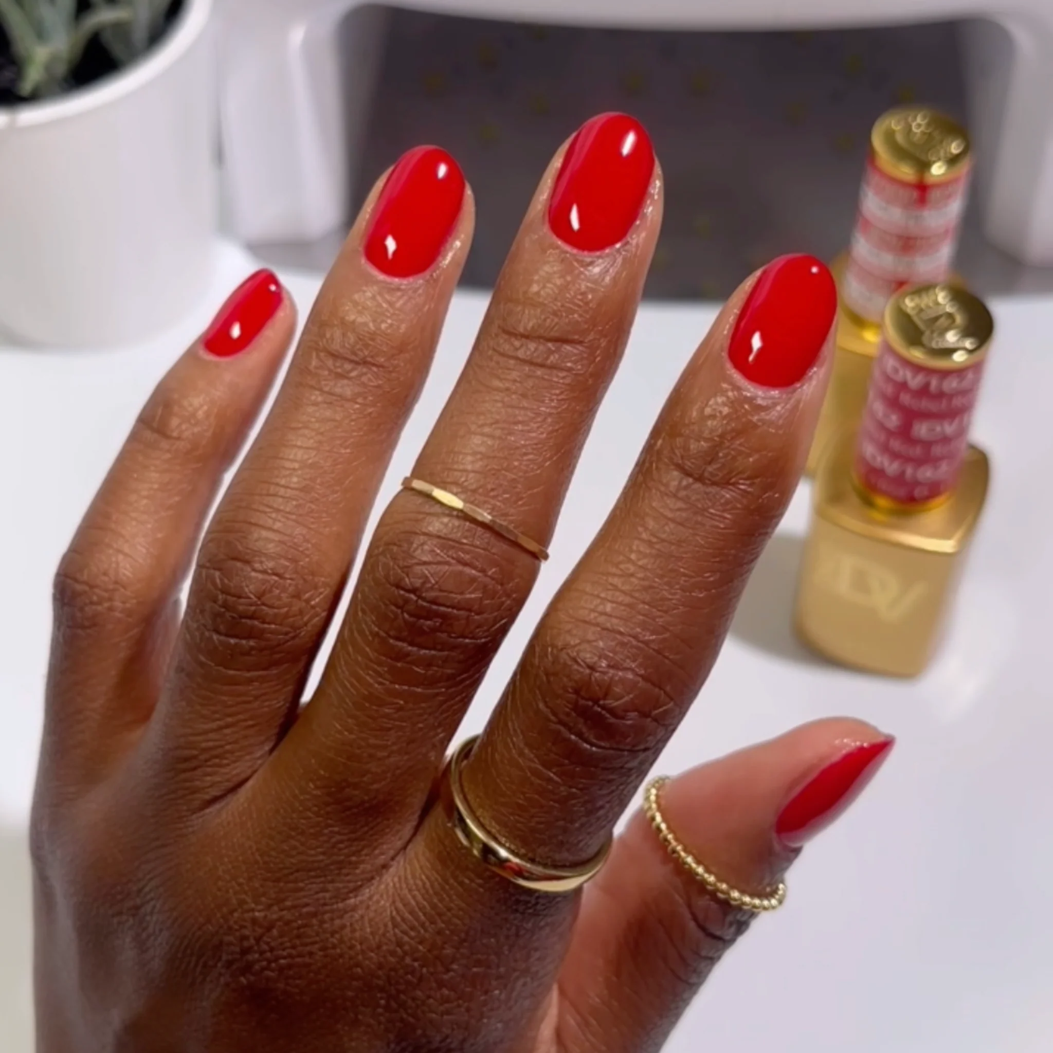 Rebel Red DIVA #162 - Image 2