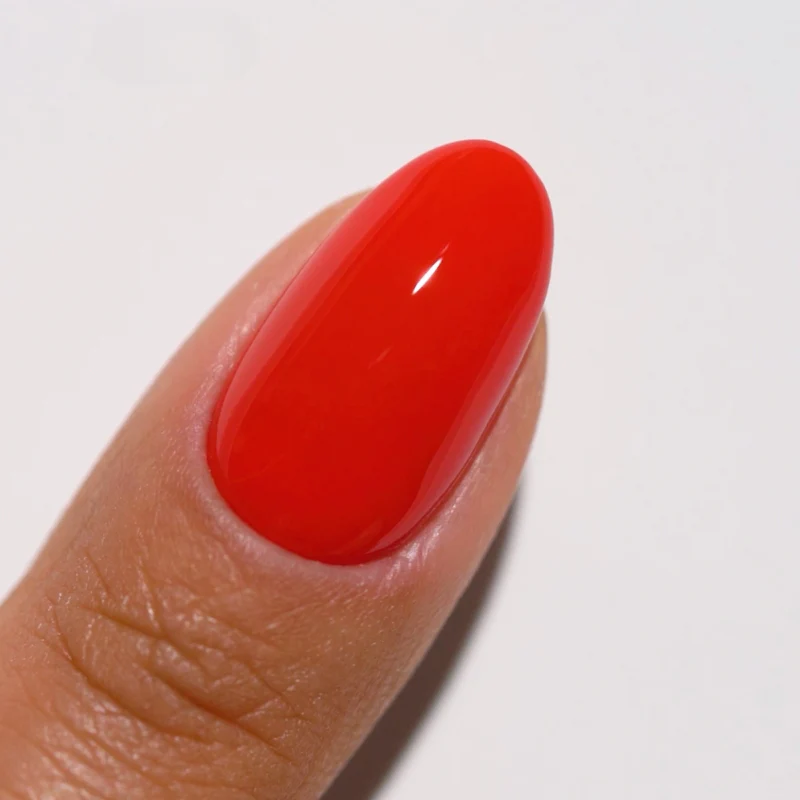 Standard Essentials - Image 6
